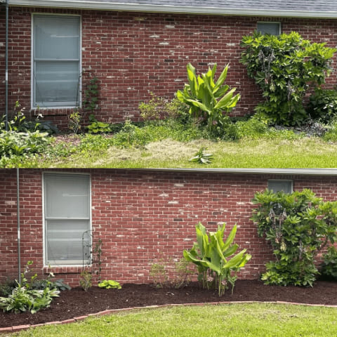 Company Garden