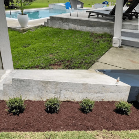 Family Garden