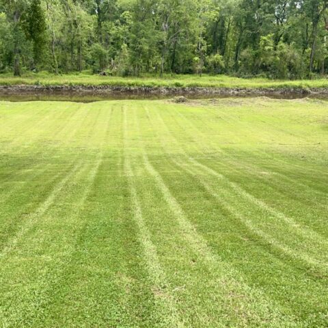 The Farming Season
