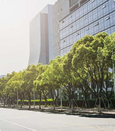 <h2>Growth and Learning</h2>