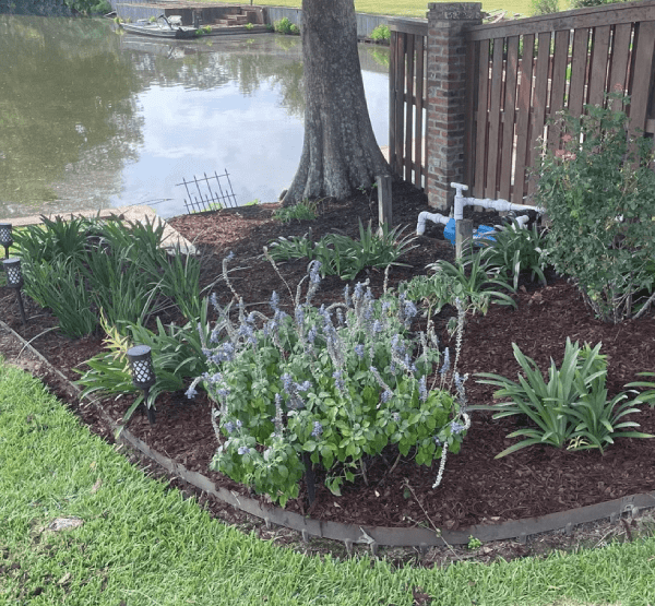 landscaping-service