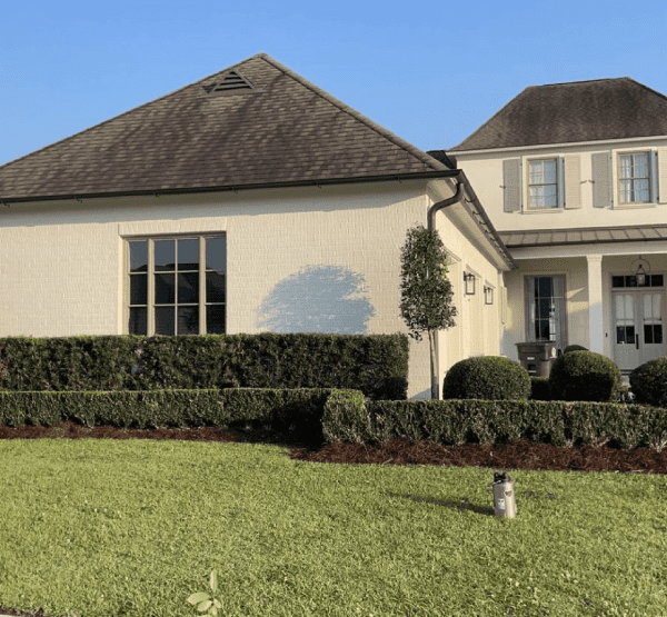 lawn-care-service