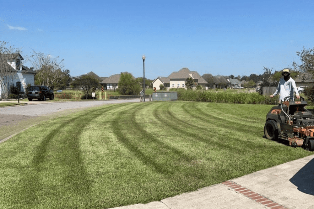 lawn-care-services-baton-rouge