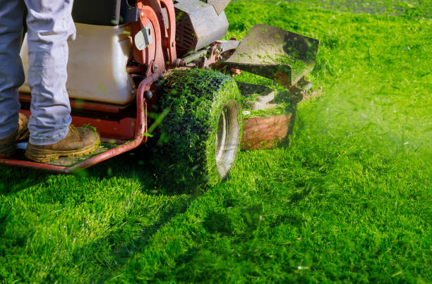 baton rouge lawncare professionals